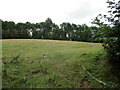 SO6563 : Grass field near Stoke Bliss by Jonathan Thacker
