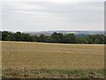 Stubble, Shillingstone Hill