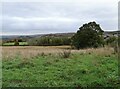 View down the valley from Moorside