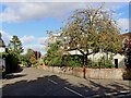 Caynton Road in Beckbury, Shropshire