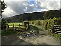 Entrance to Hendre-wen Farm