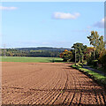 Farmland by Snowdon Lane near Beckbury, Shropshire