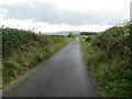 Gartness Road at the hedge hidden Dumbeg Triangulation Pillar