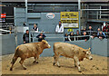 St Boswells Auction Mart