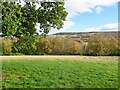 Field, Clunes