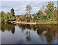 The River Severn at Bewdley