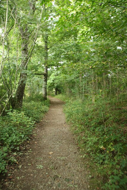 Footpath through woodland beside the B5289