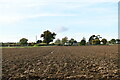 Lindsey Tye: Ploughed field