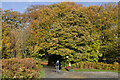 Autumn colours at the White Wells car park