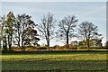 Great Bricett: Field surrounded by roads on all sides