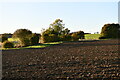 Ringshall Stocks: Ploughed field