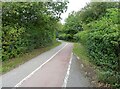 Dual use path beside Manvers Way