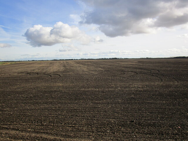 Bourne North Fen © Jonathan Thacker cc-by-sa/2.0 :: Geograph Britain ...