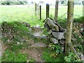 Stone Stile SX0676d