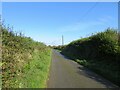 Hedge-lined minor road to the north-east of Ambleston