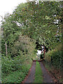 Narrow Lane at Higford in Shropshire