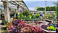 Plant area at Three Shires Garden Centre