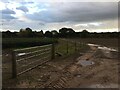 Gate and fence between fields near Bronington