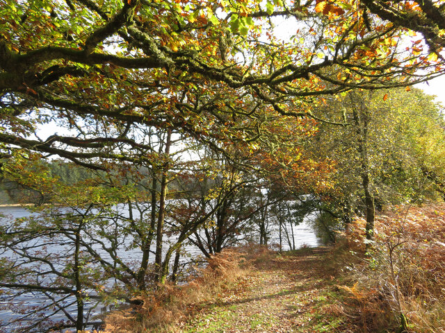 Autumn colours beside Llwyn-onn Reservoir