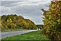 Little Fransham: The A47 seen from Love Lane