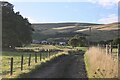 Lane leading to Westerhall Farm