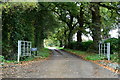 Little Fransham: Moor Lane leading to Curds Hall Barn