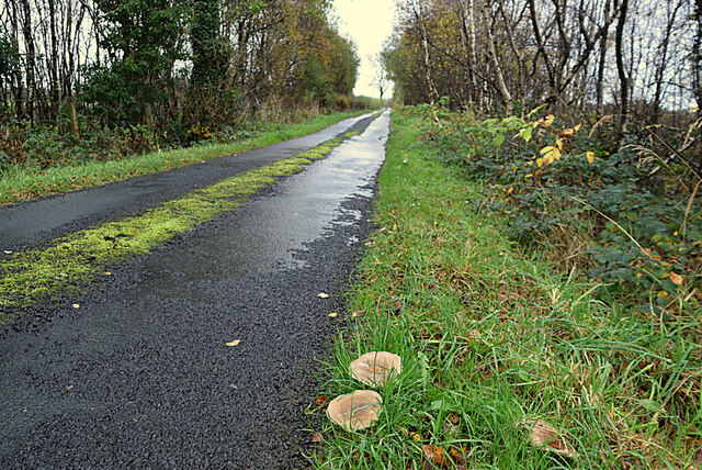 Edenderry Road Cloghfin Kenneth Allen Cc By Sa Geograph Ireland