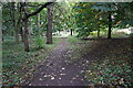 Path at Pocket Woodlane, Aberdeen