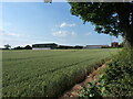 Barns at Ashcroft Farm