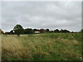 Over  rough  grazing  to  Grimthorpe  Manor  farm