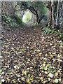 Autumn footpath