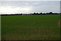 View towards the estuary from the Thorpe Lane level crossing