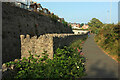 Path by the railway line, Teignmouth