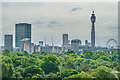 View from Primrose Hill