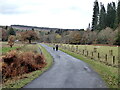 NZ0730 : Centenary Avenue, Hamsterley Forest by Oliver Dixon