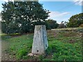Maidscross Hill Trig Pillar