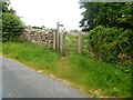 A circular walk from Leyburn via Wensley village [56]