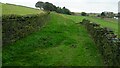 Old Farm Track