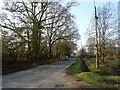 Lyndhurst Road towards Burley