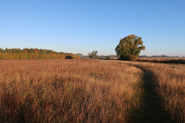 permissive-path-by-beck-brook-hugh-venables-geograph-britain-and