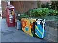 Painted utility cabinet, Castle Street, Shrewsbury