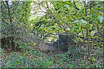 TM5496 : First sight of the bridge over the Leisure Way footpath by Adrian S Pye