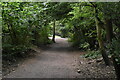 Parkland Walk