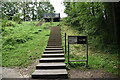 Steps, Crouch Hill Park