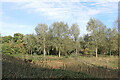 Flood plain pasture west of Beckbury in Shropshire