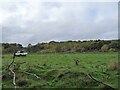 NZ0851 : Field at Shotley Grove by Robert Graham