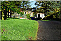 Grass verge along Cavanacaw Road