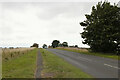 B1340 West of Beadnell