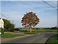 TL5727 : Autumn in Broxted, near Great Dunmow by Malc McDonald