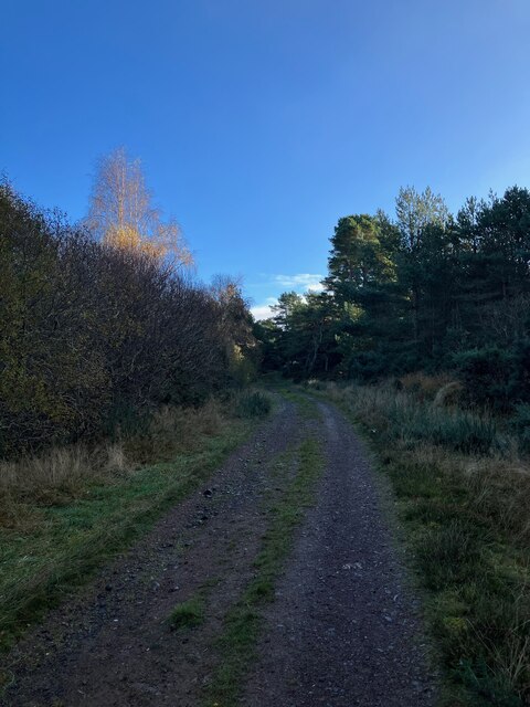 Track on Hill of Nigg
